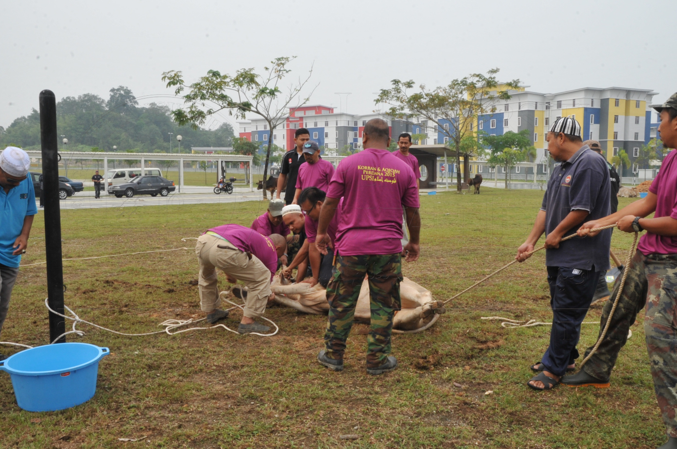 PRO15 150 KORBAN HAS 6678